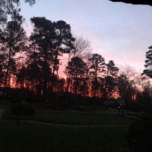 Meet your Posher, Jenny